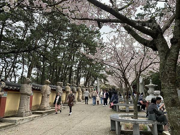 [南韓][釜山][景點] 海東龍宮寺 | 韓國最美的寺廟 |