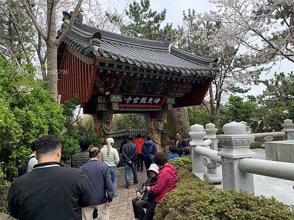 [南韓][釜山][景點] 海東龍宮寺 | 韓國最美的寺廟 |