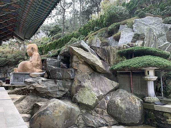 [南韓][釜山][景點] 海東龍宮寺 | 韓國最美的寺廟 |