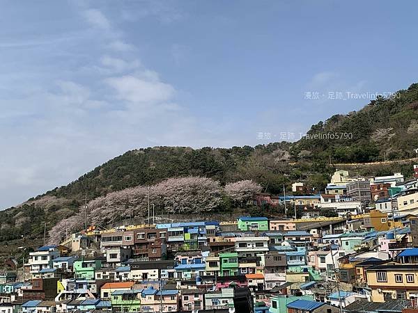 [南韓][釜山][景點] 甘川洞文化村 | 小王子與狐狸 |