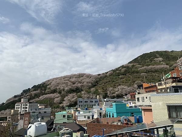 [南韓][釜山][景點] 甘川洞文化村 | 小王子與狐狸 |