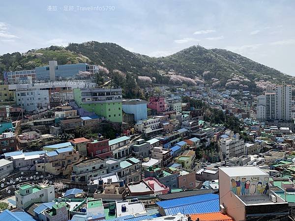 [南韓][釜山][景點] 甘川洞文化村 | 小王子與狐狸 |