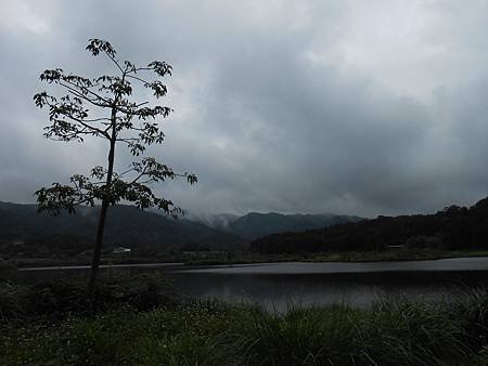 DSCN0708.jpg