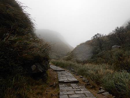 DSCN1332.jpg