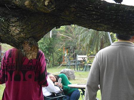 DSCN2320.jpg