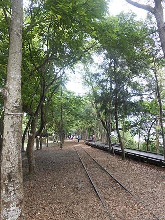 DSCN2204.jpg