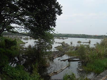 DSCN2216.jpg