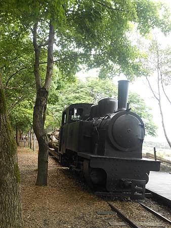 DSCN2219.jpg
