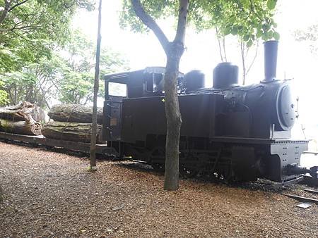 DSCN2221.jpg