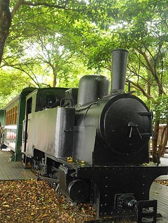 DSCN2228.jpg