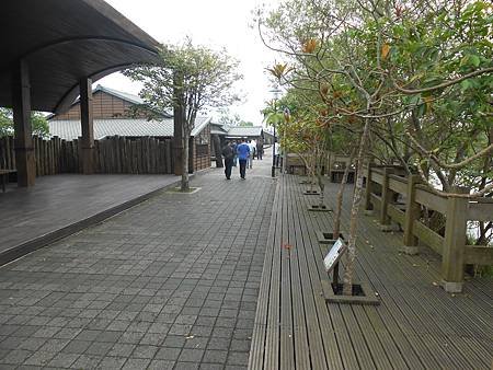 DSCN2241.jpg