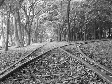 DSCN2250.jpg