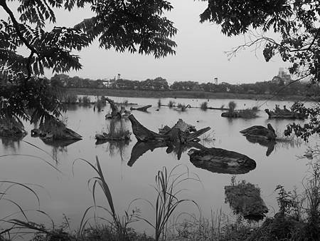 DSCN2254.jpg