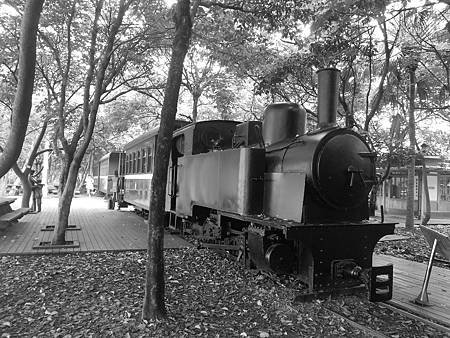 DSCN2257.jpg