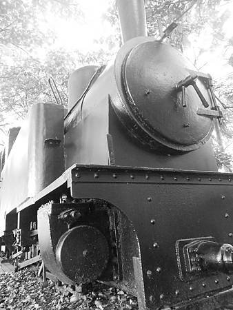 DSCN2258.jpg