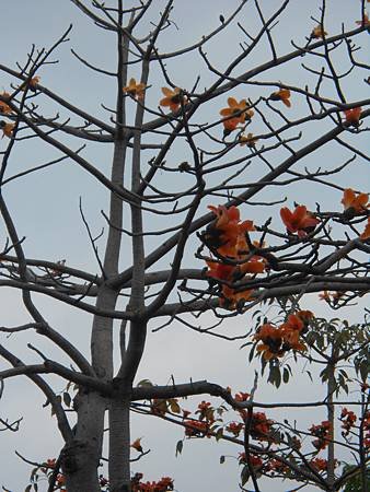 DSCN2278.jpg