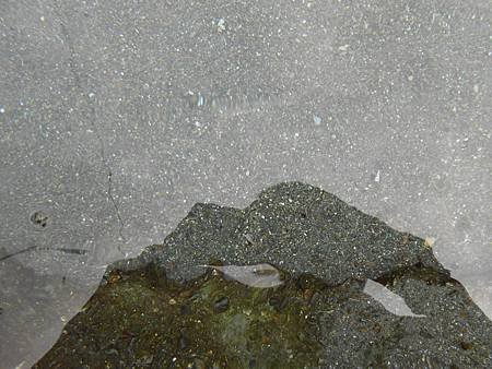 DSCN2712.jpg