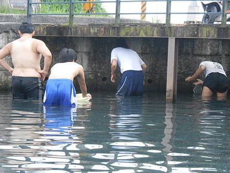 DSCN2728.jpg