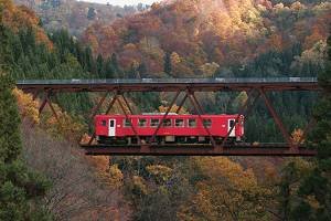 從內陸線車窗就可觀賞到滿山滿谷紅葉美景。