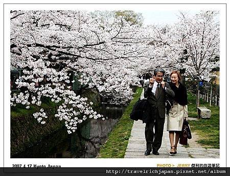 京都櫻花.jpg
