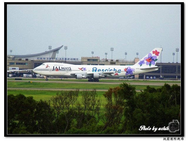 日本航空JA8150紫花鳥彩繪飛機.jpg