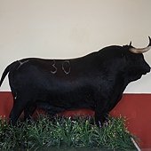 IMG_6901.JPG