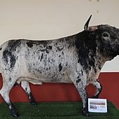 IMG_6904.JPG