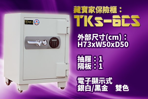 TKs-6CS