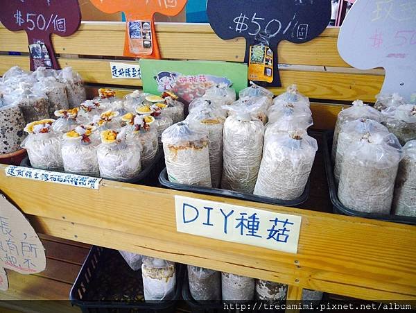 太空包.jpg