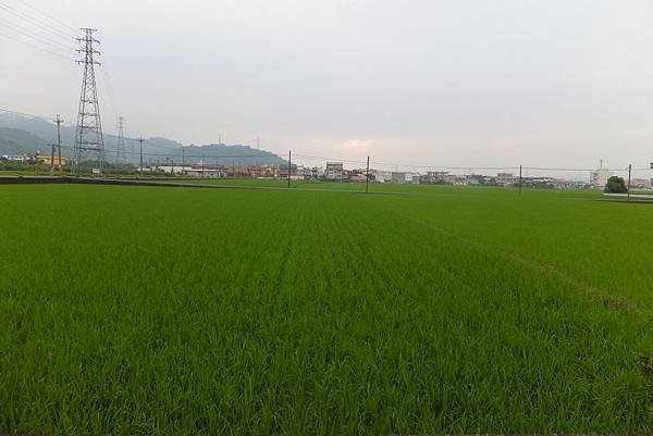 羅東住宿