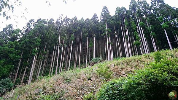 107.08.24京都貴船神社 (68)