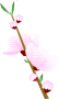 forgetall_349537.gif