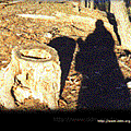 forgetall_311065.gif