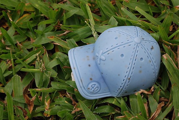 DSC_1133.JPG