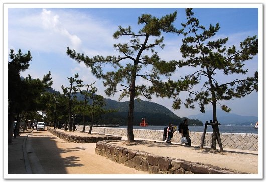 往嚴島神社走.jpg