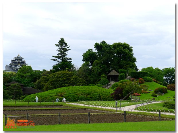 岡山後樂園井田13.jpg