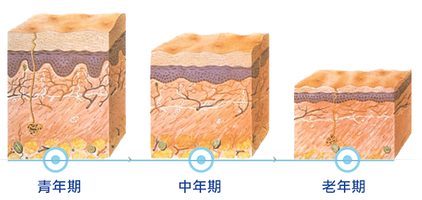 6.水感注射3.png