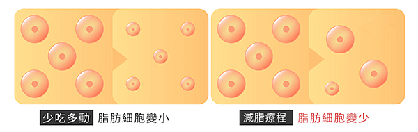 1.皮下減脂4.png