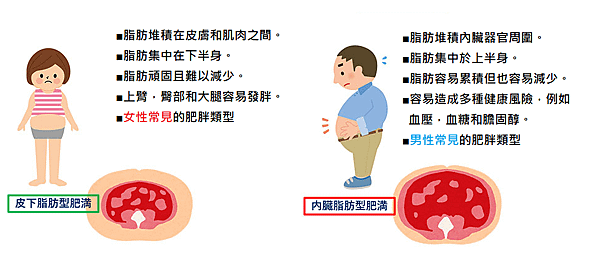 2.消脂點滴2.png