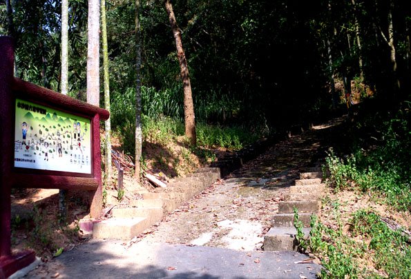 二坪山登山口