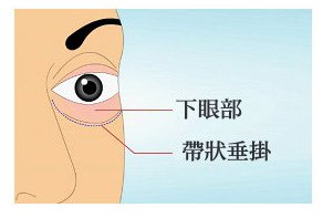 Trillia Peptide_眼袋舒緩_2.jpg