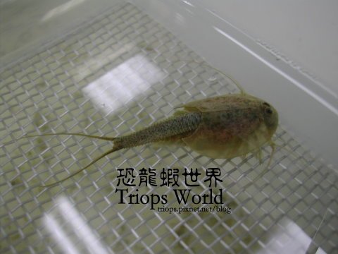 DSCN5338.JPG