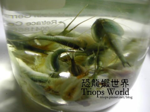 DSCN3771.JPG