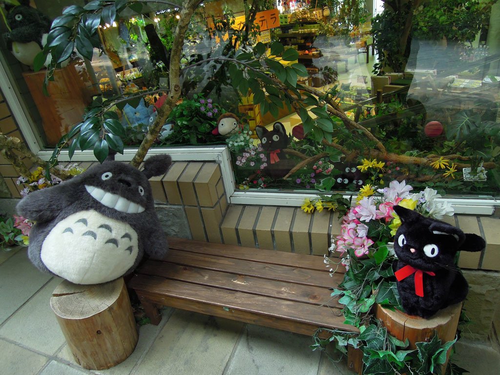 DSCN3595.JPG
