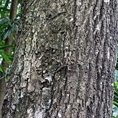20130920 (21).JPG