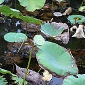 20130920 (56).JPG