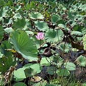 20130920 (62).JPG