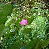 20130920 (64).JPG