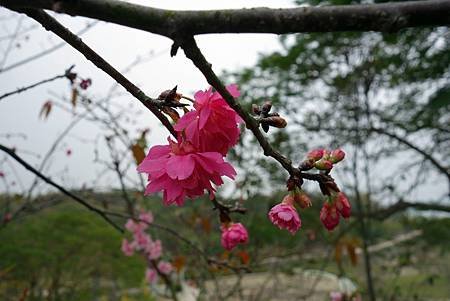 20140204 (254).JPG