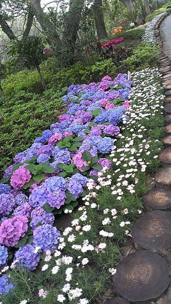 20140319 J (20).jpg